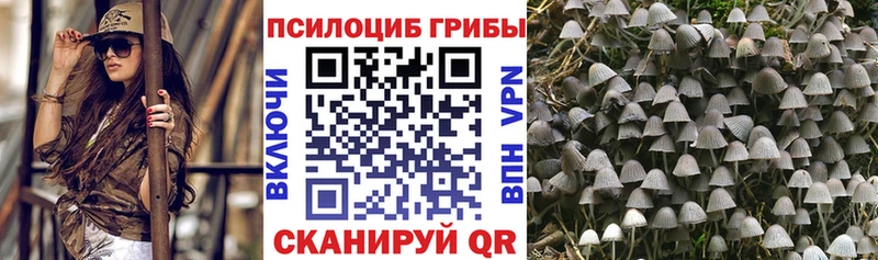 закладки  Касли  площадка официальный сайт  Галлюциногенные грибы мицелий 